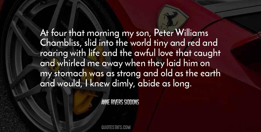 Old And Strong Quotes #1300047