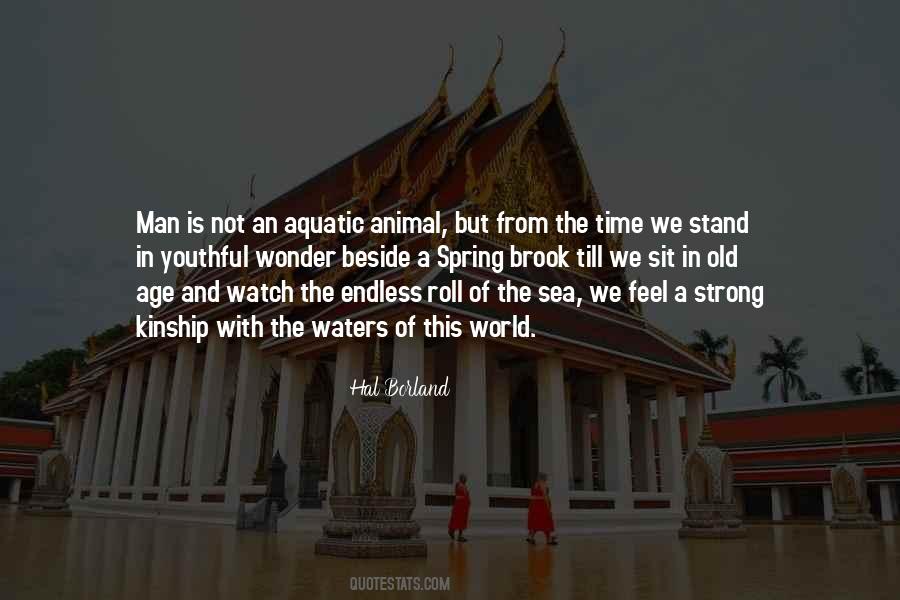 Old And Strong Quotes #491385