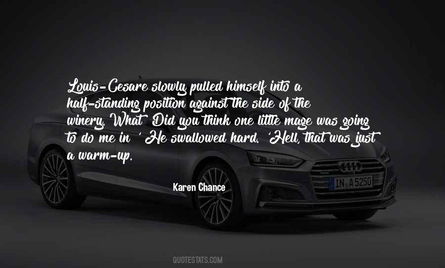 Dorina Basarab Quotes #118273