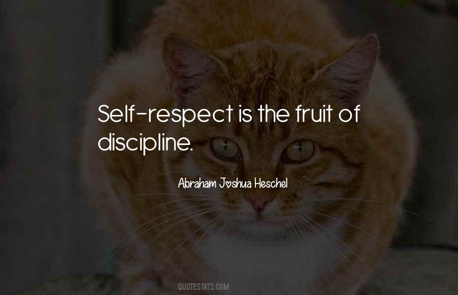 Self Respect Is Quotes #1569042