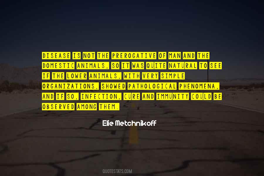 Simple Natural Quotes #1845486