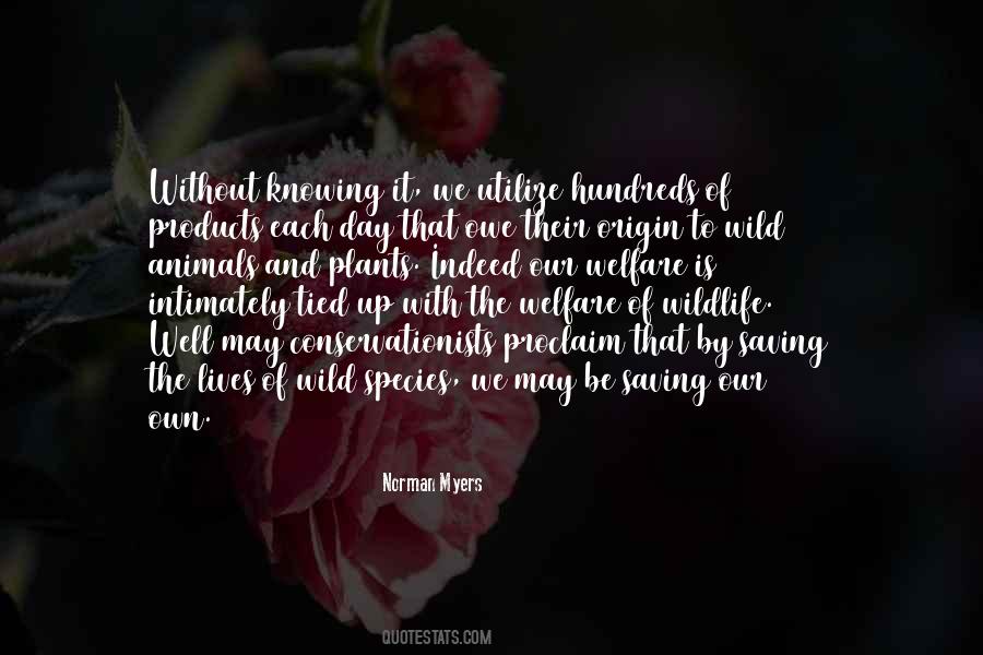 Quotes About Being A Virgo #1525924