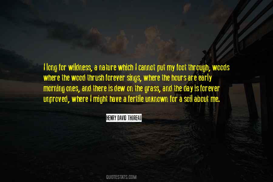Nature Morning Quotes #1019472
