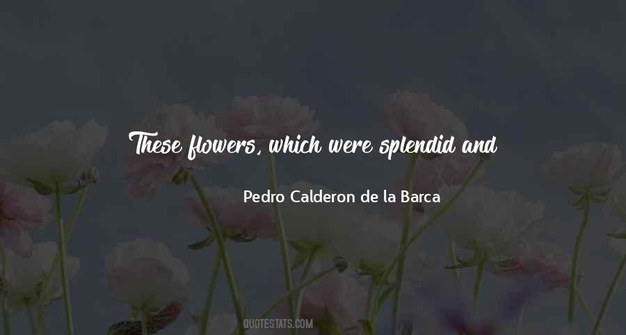 Nature Morning Quotes #741257