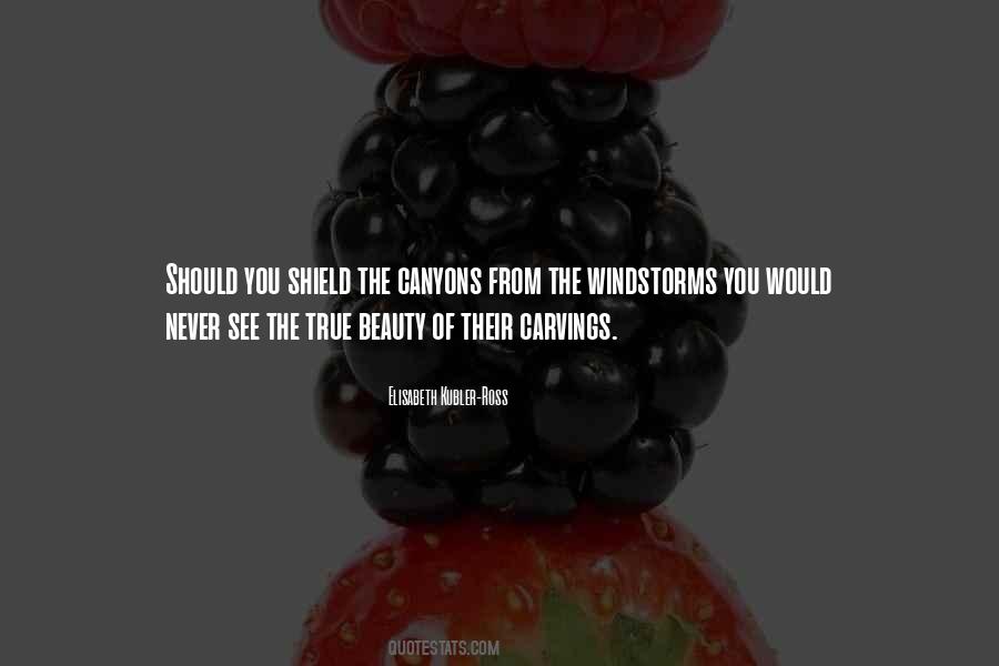 The True Beauty Quotes #249182