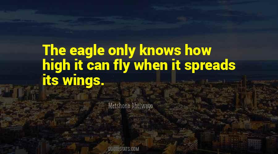 Success Risk Quotes #448853