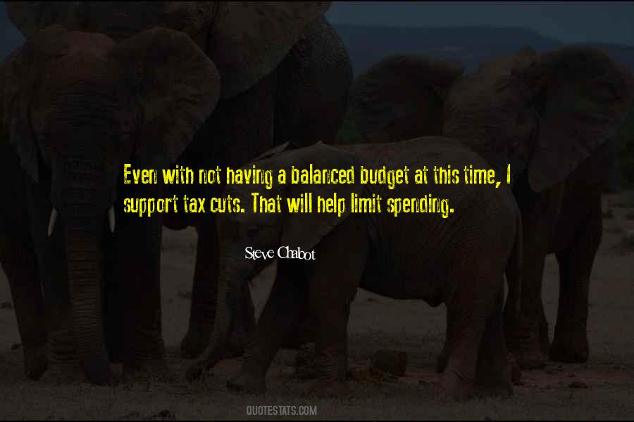 Quotes About Budget Time #868761