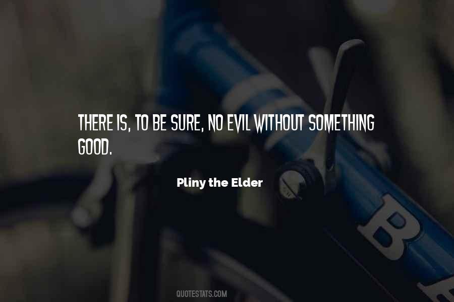 No Good Without Evil Quotes #221402