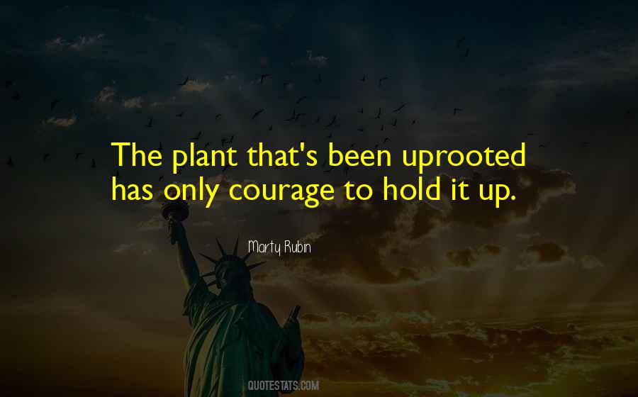 The Drifter Quotes #1790151 The Drifter Quotes #1790151