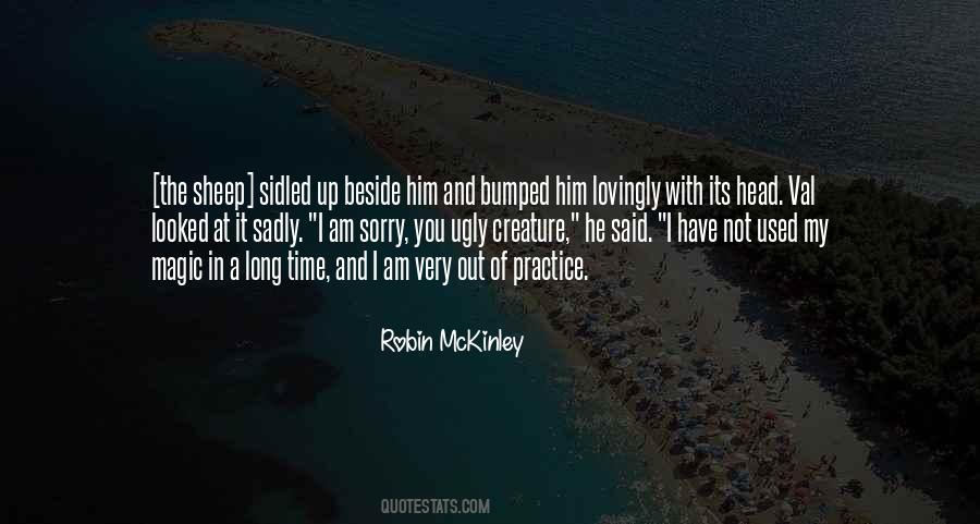 Sorry Long Quotes #1383908
