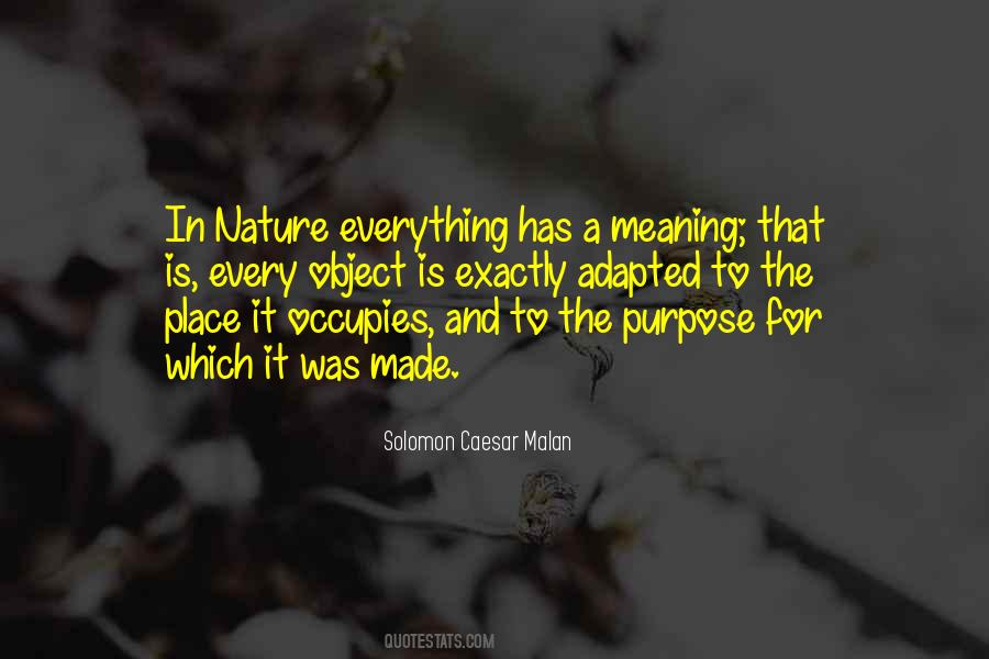 Everything Has A Meaning Quotes #1134754