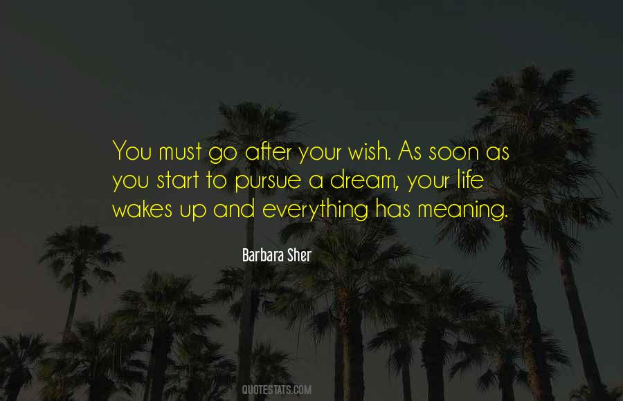 Everything Has A Meaning Quotes #1758848