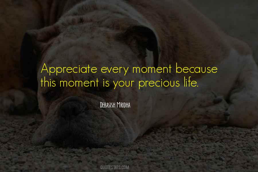 Every Moment Is Precious Quotes #374135