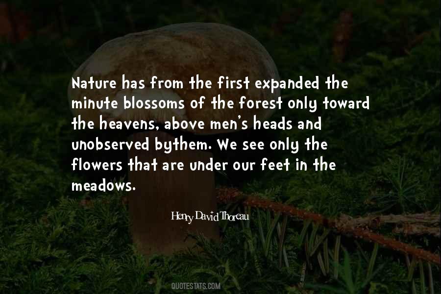 First Flower Quotes #1621748