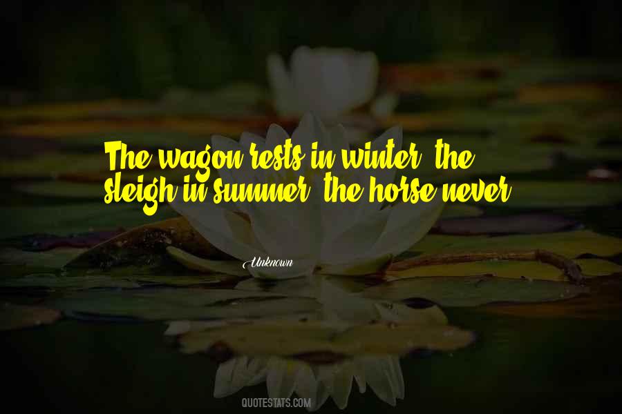 Summer Horse Quotes #305768