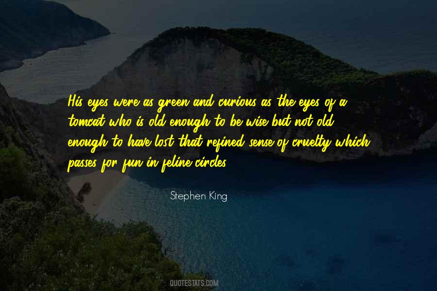 Wise Eyes Quotes #1652146