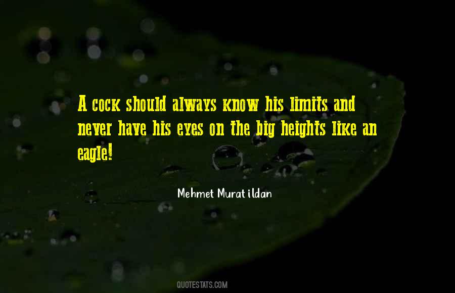 Wise Eyes Quotes #570800
