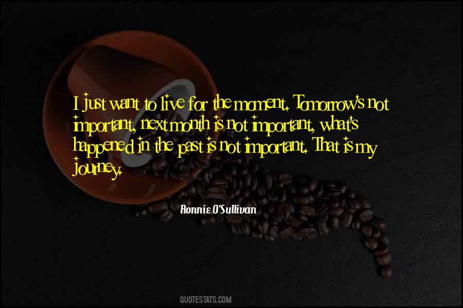 Past Journey Quotes #100457