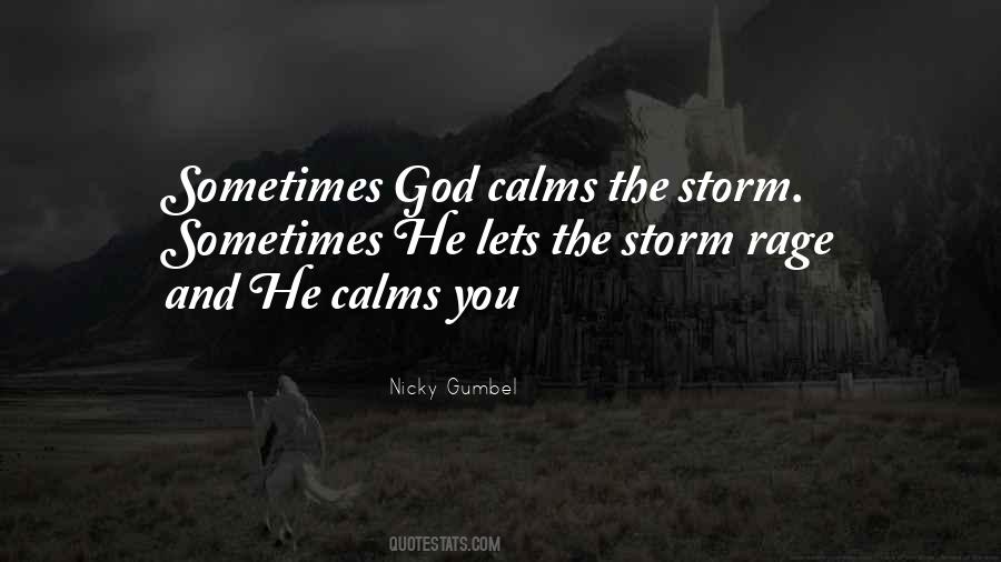 Be The Calm In The Storm Quotes #195013