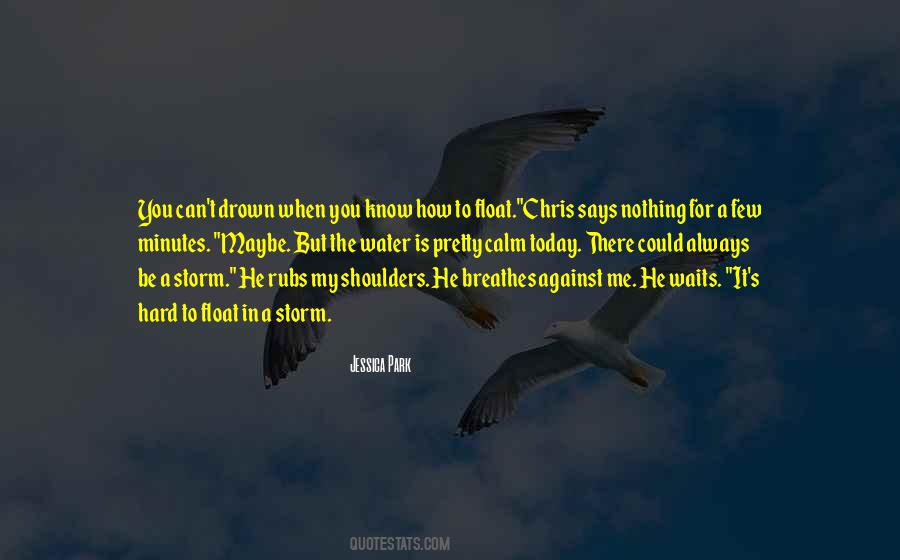 Be The Calm In The Storm Quotes #617454