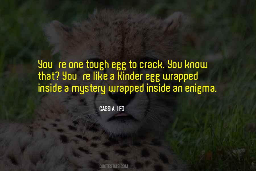 A Mystery Wrapped In An Enigma Quotes #1634786