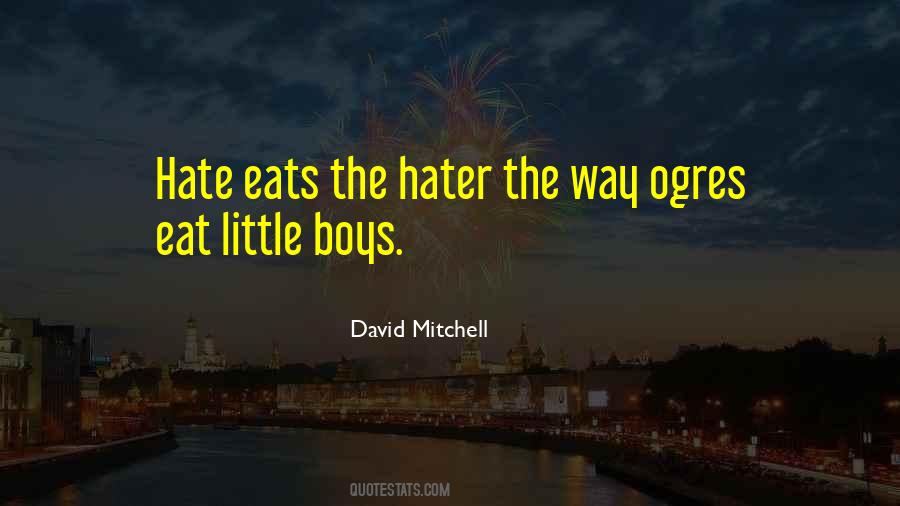I Hate Boys Quotes #768447