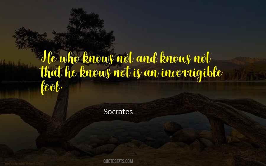 You Are Incorrigible Quotes #576088