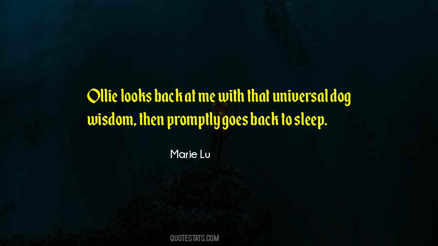 Dog Wisdom Quotes #484410