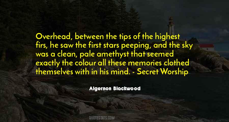 Secret Memories Quotes #1200503