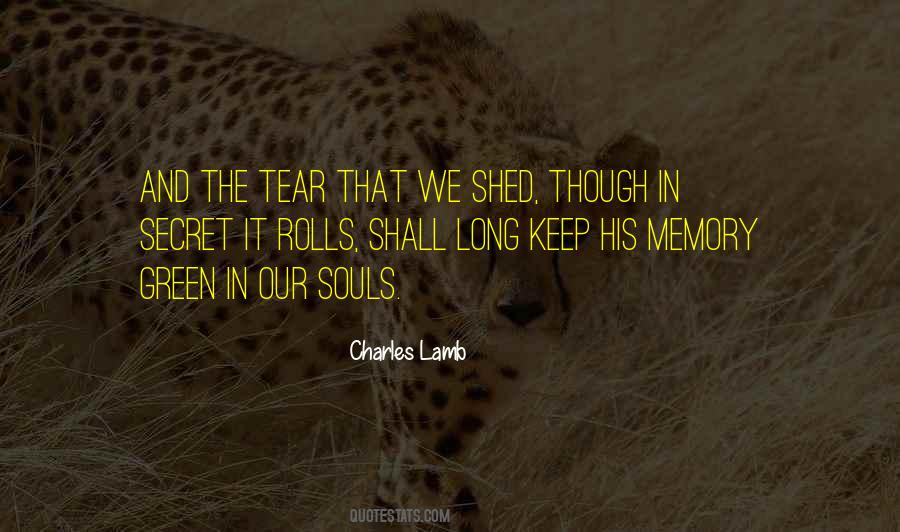 Secret Memories Quotes #454877