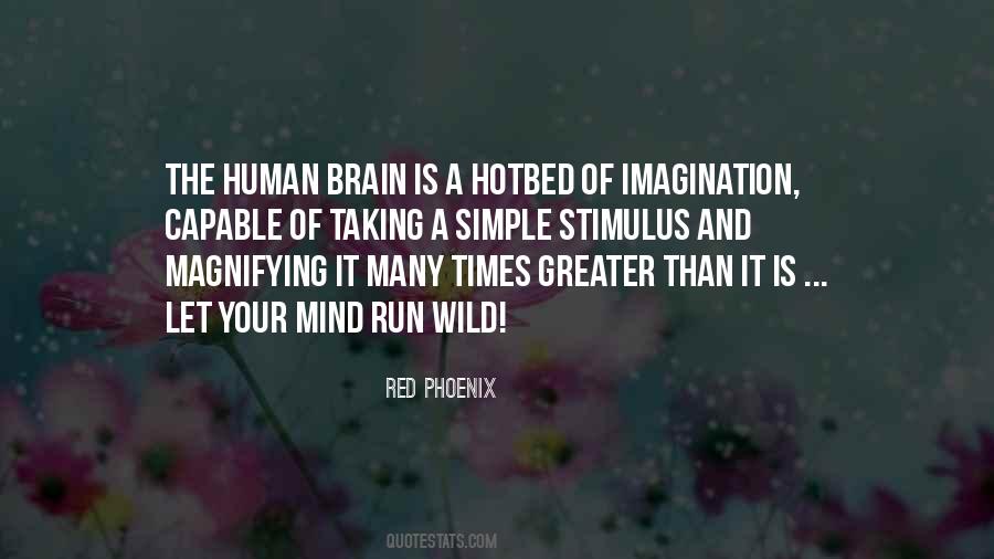 Quotes About The Mind And Imagination #133801