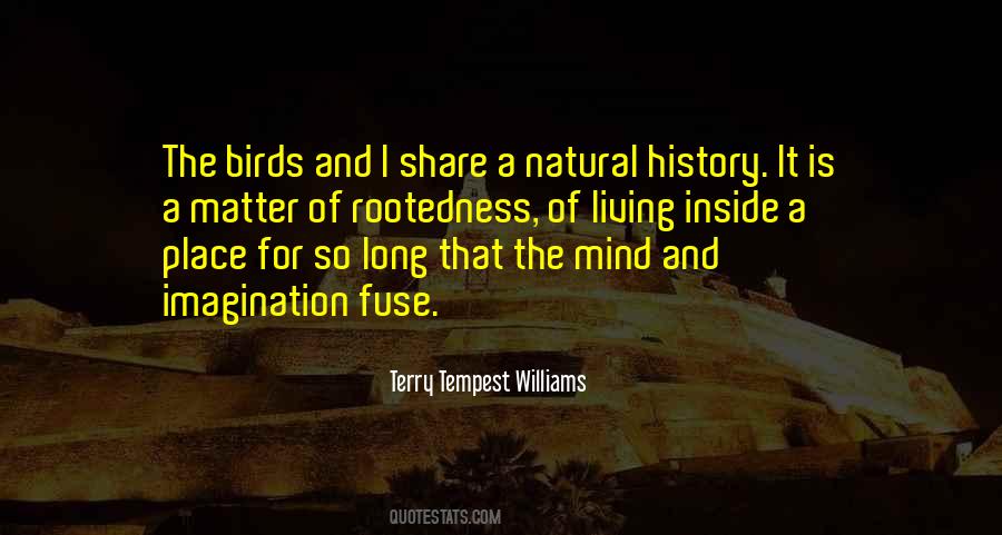 Quotes About The Mind And Imagination #1878148