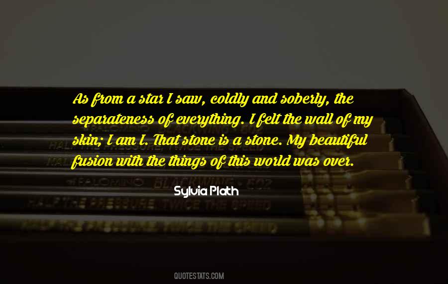 I Saw Everything Quotes #169473