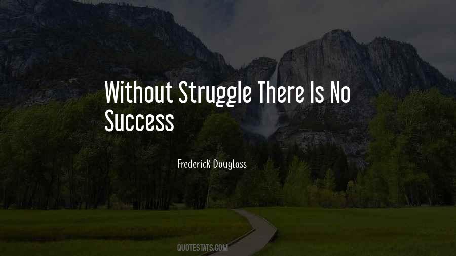 Success Without Struggle Quotes #527772