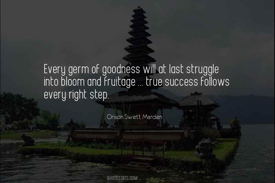 Success Without Struggle Quotes #697346