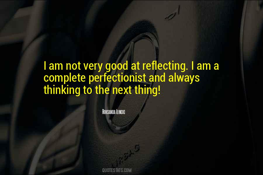 I Am Not A Perfectionist Quotes #1090509