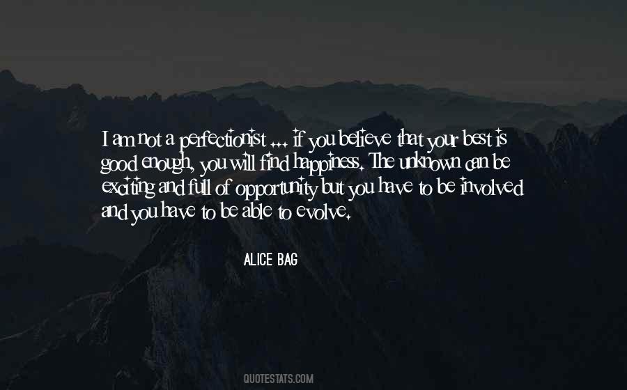 I Am Not A Perfectionist Quotes #690386