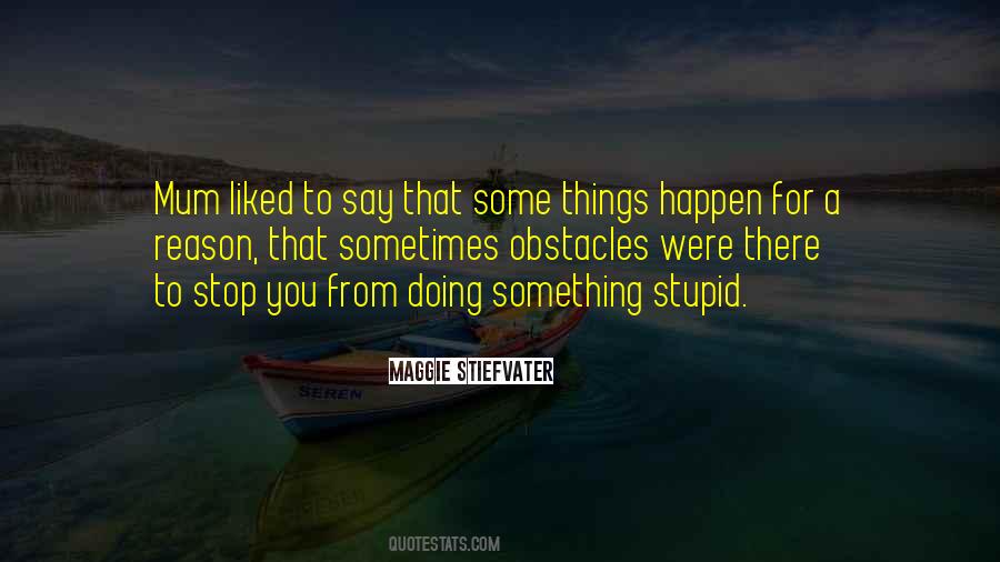 Sometimes Things Happen Quotes #515100