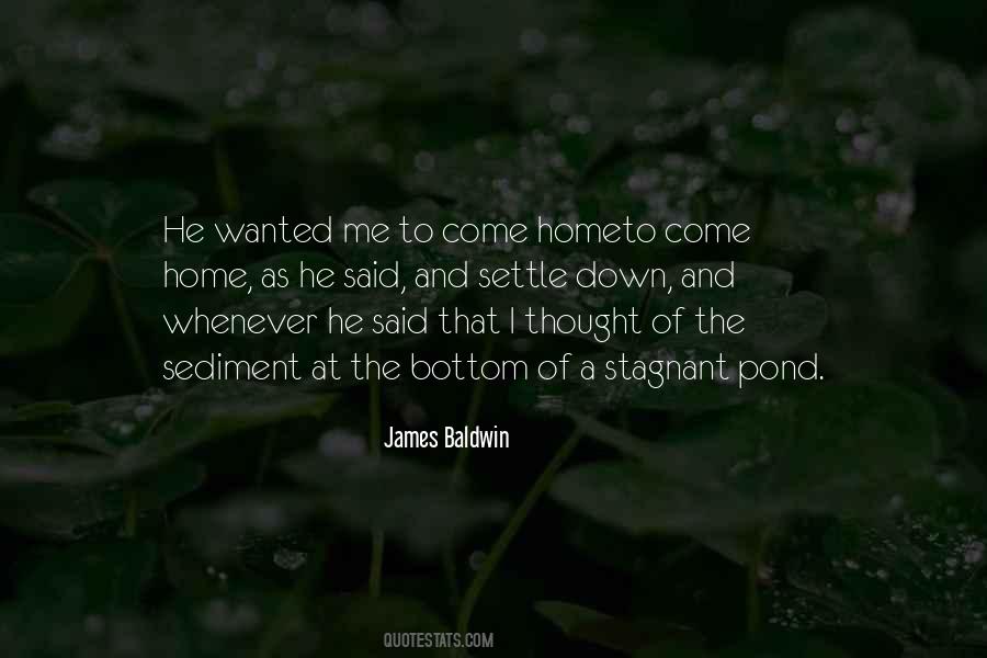 Down Home Quotes #56502