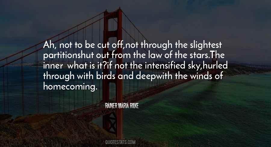 Birds And Sky Quotes #86675