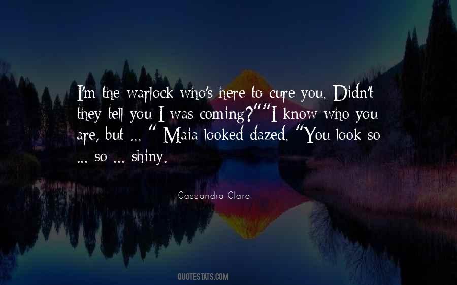 You Look So Quotes #1457659