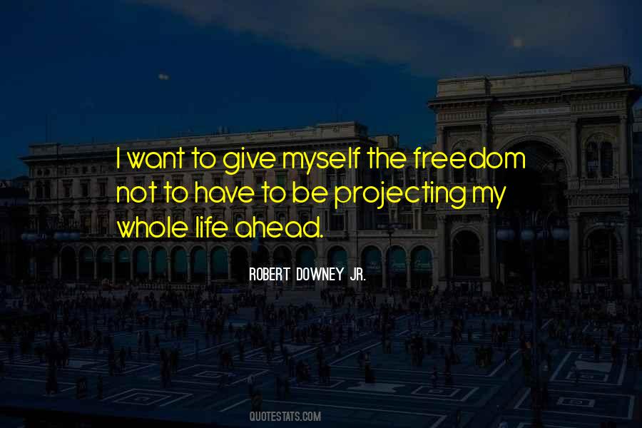 Downey Jr Quotes #385792