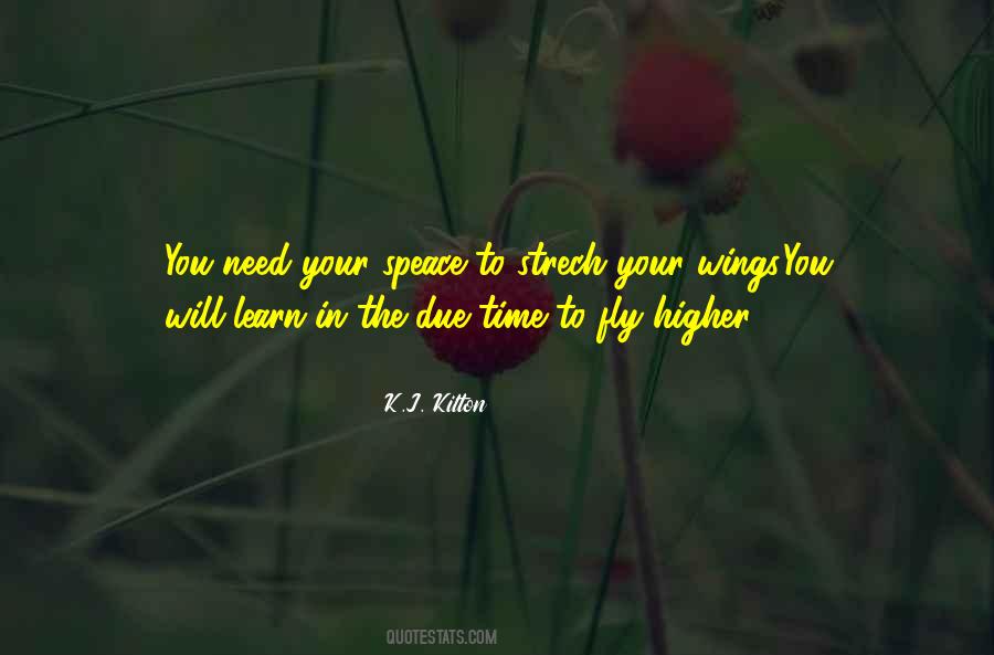Wings Flying Quotes #1080132