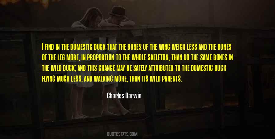 Wings Flying Quotes #1745504
