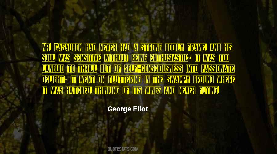 Wings Flying Quotes #344760