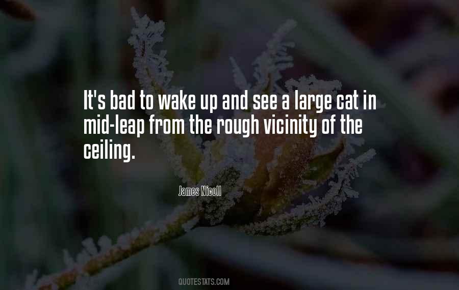 Bad Cat Quotes #1097947