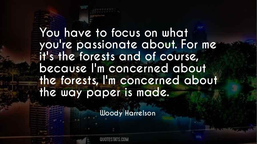 Focus On What You Have Quotes #140127