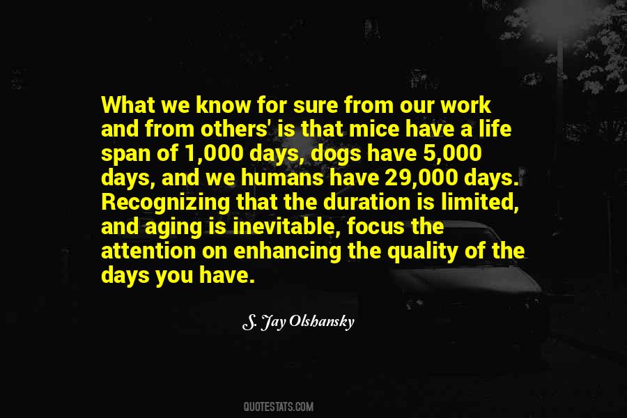 Focus On What You Have Quotes #936112