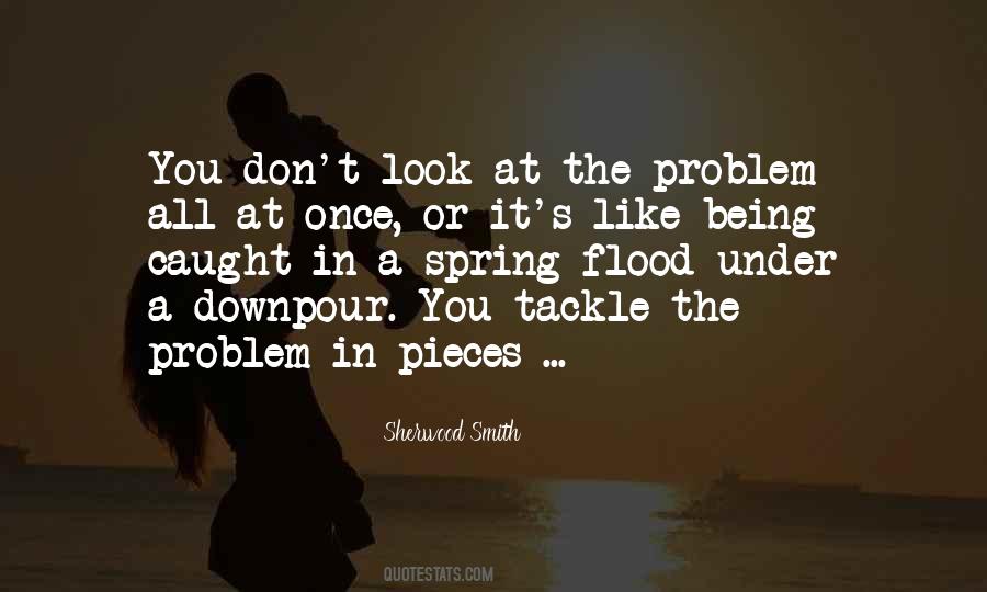Downpour Quotes #246316