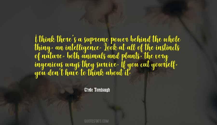 Behind Nature Quotes #1688429
